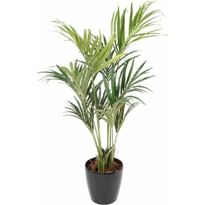 KENTIA ECO PALMA, 160cm