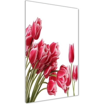 Vertikálny foto obraz sklo tvrdené Červené tulipány 50x100 cm