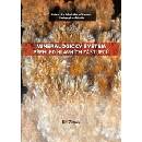 Mineralogický systém