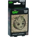 Groot v boxe