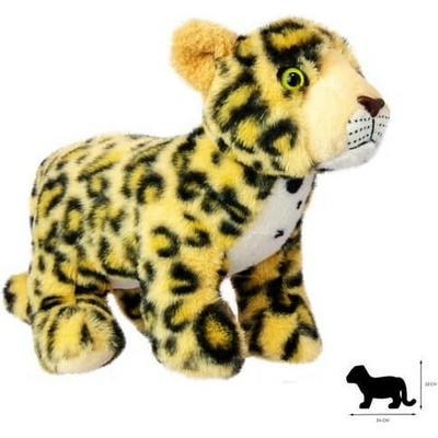 leopard mládě