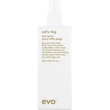 evo Salty Dog Salt Spray 200 ml