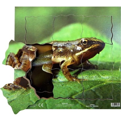 Just Jigsaws 604 Žába a její životní cyklus dřevěné vrstvené 19 dílů