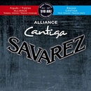 Savarez 510ARJ