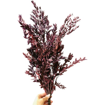 Stabilizovaný eukalyptus PARVIFOLIA, svazek bordó větviček 140g