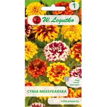 Mexická zinnia mix
