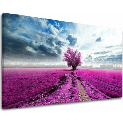 Obraz na stenu STROMY - 100x150 cm
