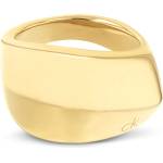 Calvin Klein 35000822d (35000822d)