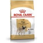 Royal Canin Pug Adult - за кучета порода мопс на възраст над 8 месеца 1.5кг