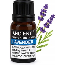 Ancient Wisdom Levanduľa esenciálny olej 10 ml