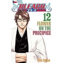 Bleach 12