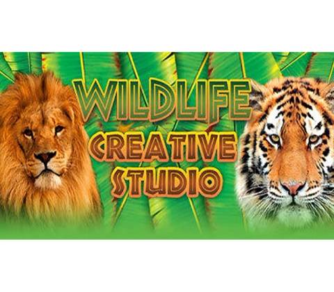 The Wildlife Creative Studio