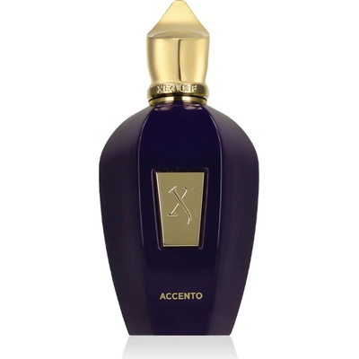Xerjoff " V " Accento parfumovaná voda unisex 100 ml tester