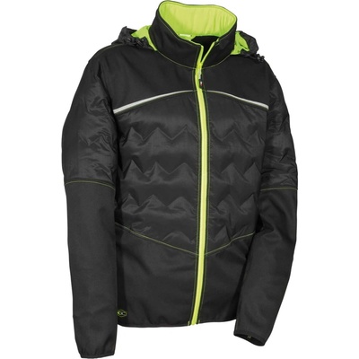 Cofra bunda POLIGUS Softshell Zelená