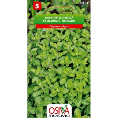 Semínka Dobromysl obecná Origanum vulgare – Hledejceny.cz
