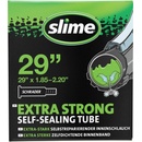 SLIME FV