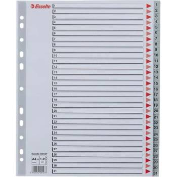 ESSELTE Регистър ESSELTE A/4 plastic extra wide 1-31 100127 (100127)