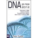 DNA po roce 2012