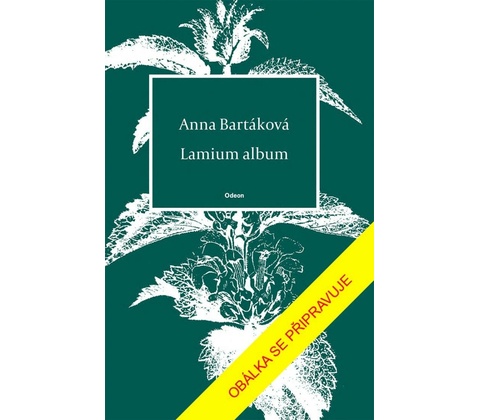 Lamium album