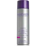 FarmaVita Шампоан за боядисана коса Farmavita Amethyste Color Shampoo 1000ml (FARSHAAMECOL2)