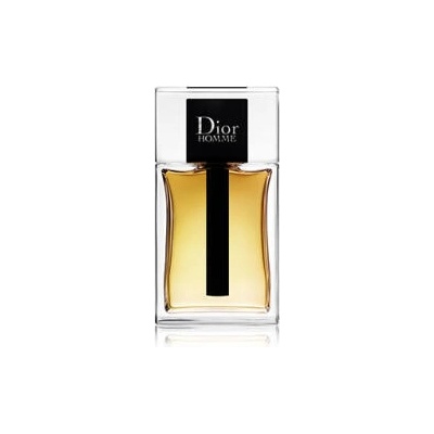 Dior Dior Homme (2020) EDT 150 ml