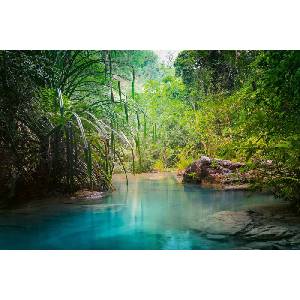 DIMEX ART Флизелинов фототапет бистра вода в джунглата 375 x 250 см