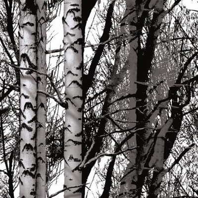 d-c-fix Samolepiaca tapeta Wood 343-1007 rozmer 45 cm x 1,5 m