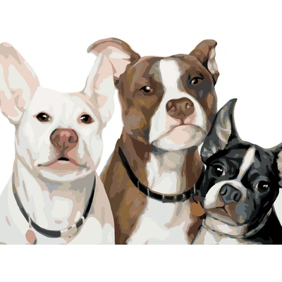 ZUTY Malování podle čísel PSÍ RODINKA MYROSLAVA VOLOSCHUK Rozměr 80 x 100 cm Rámování bez rámu a bez vypnutí plátna