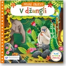 V džungli