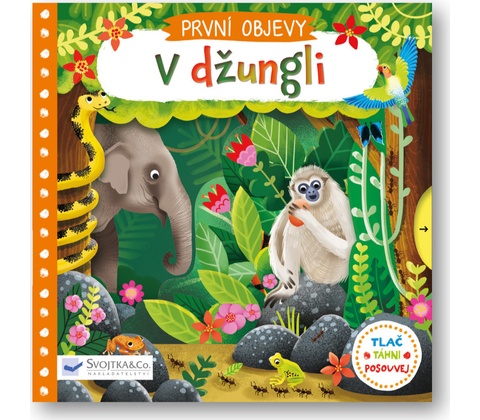 V džungli