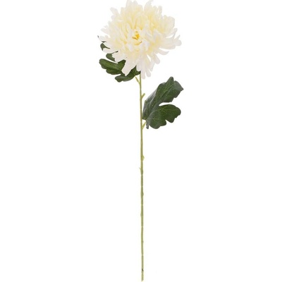 KS CHRYZANTÉMA KREMOVÁ 55CM