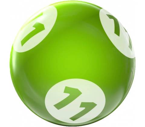 Bingo vrtané 11