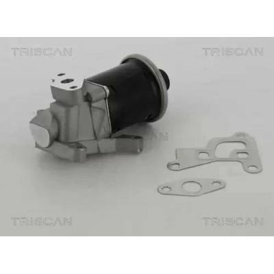 TRISCAN AGR ventil TRI 8813 29100