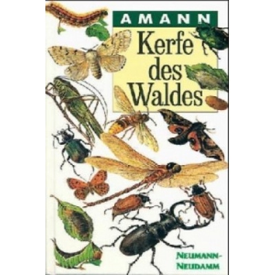 Kerfe des Waldes