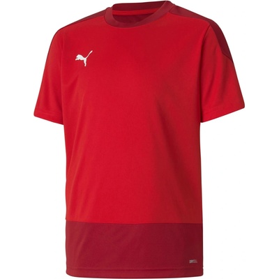 Puma teamGOAL 23 Training Jersey 65648201
