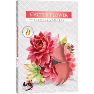 BISPOL Ароматни чаени свещи Bispol Aura - Cactus Flower, 6 броя (p15-312)