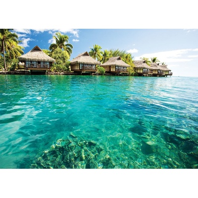 ForWall Fototapeta Hawaii vlies 152,5 x 104 cm