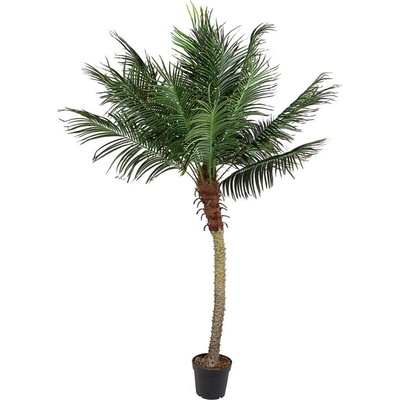 Bizzotto Palma РАСТЕНИЕ 18 ЛИСТА СЪС САКСИЯ h210 (0172725)