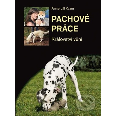 Pachové práce - Anne Lill Kvam