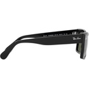 Image 1 of Ray-Ban Inverness RB2191 901/31