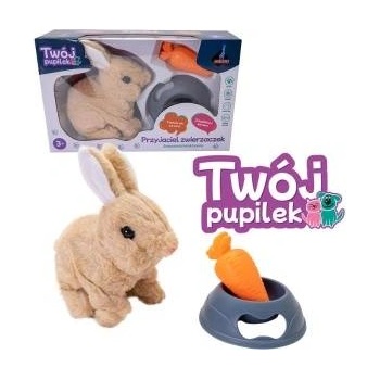 ASKATO Battery operated bunny with accessories