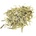 Grešík Lemongrass 1 kg