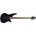 Jackson JS2 LRL