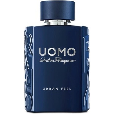 Ferragamo Uomo Urban Feel toaletní voda pánská 100 ml