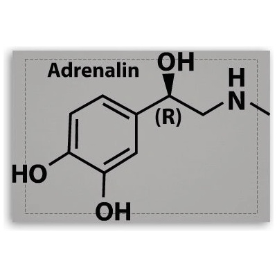 Fotoobraz 60x40 cm malý Adrenalin