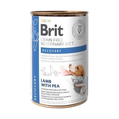 Brit Veterinary Diet Dog & Cat Grain Free Recovery Lamb with Pea 400 g