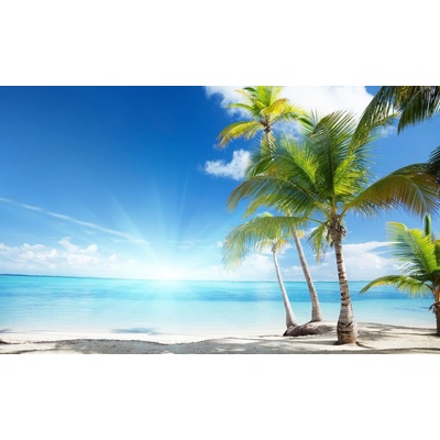 ForWall Fototapeta Palms on the beach vlies 104 x 70,5 cm