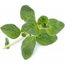 Véritable Lingot Oregano - BIO