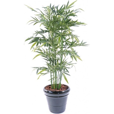 BAMBUS NEW GREEN, 150cm