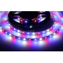 T-LED 078080
